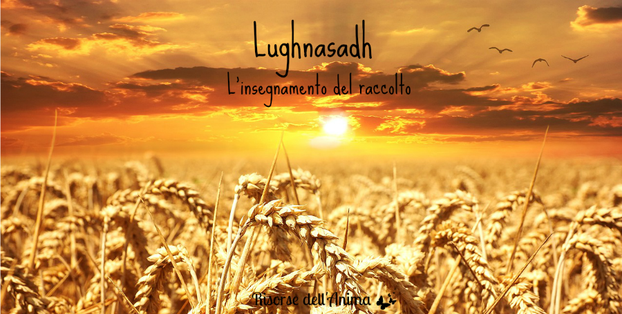 il raccolto di Lughnasadh
